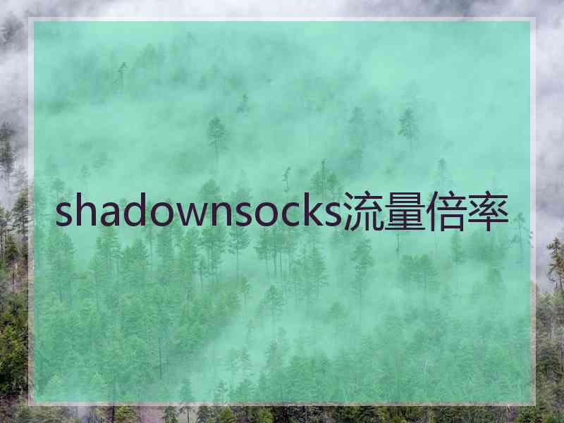 shadownsocks流量倍率
